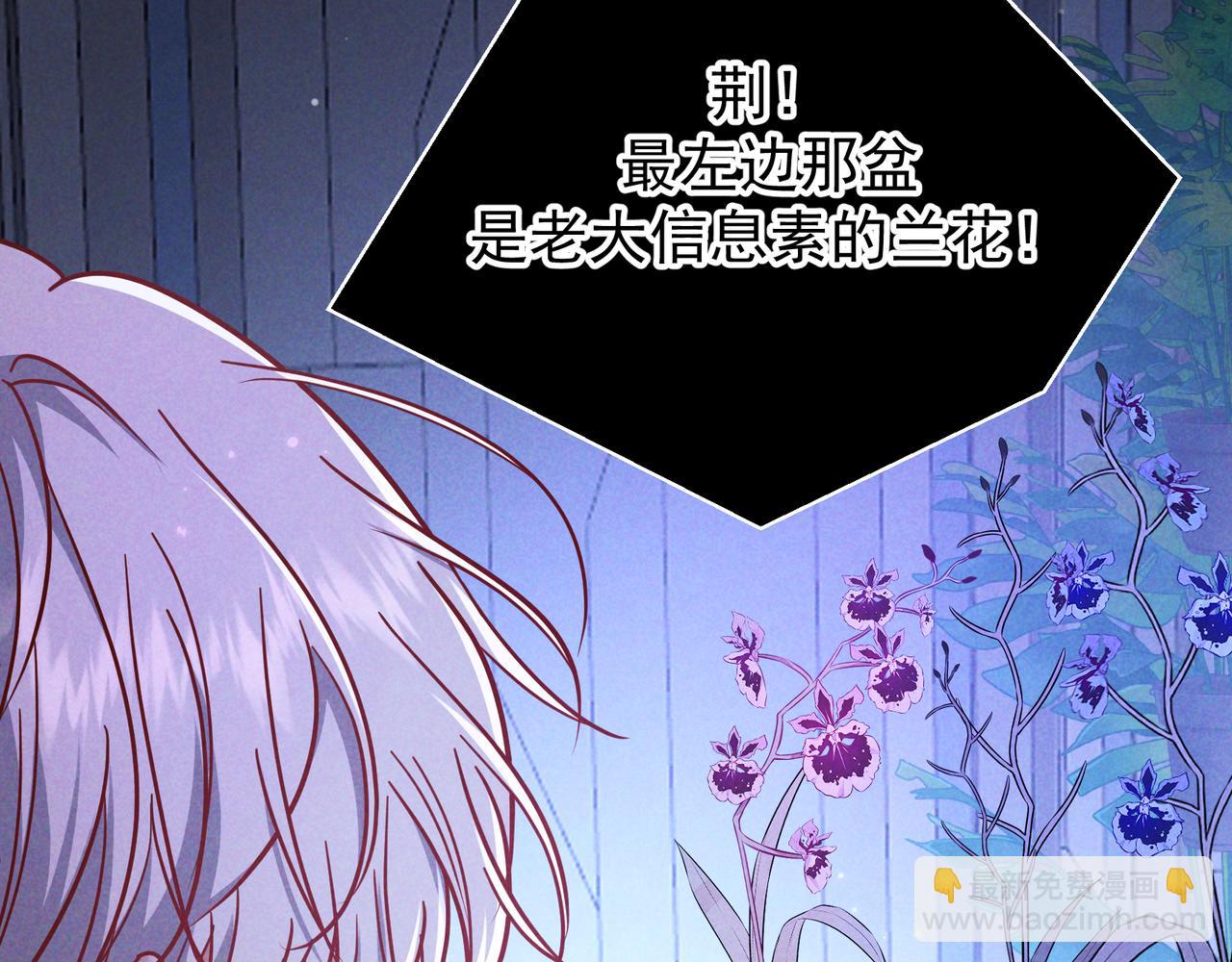 第54话 血色文心兰(1/3)-第65话