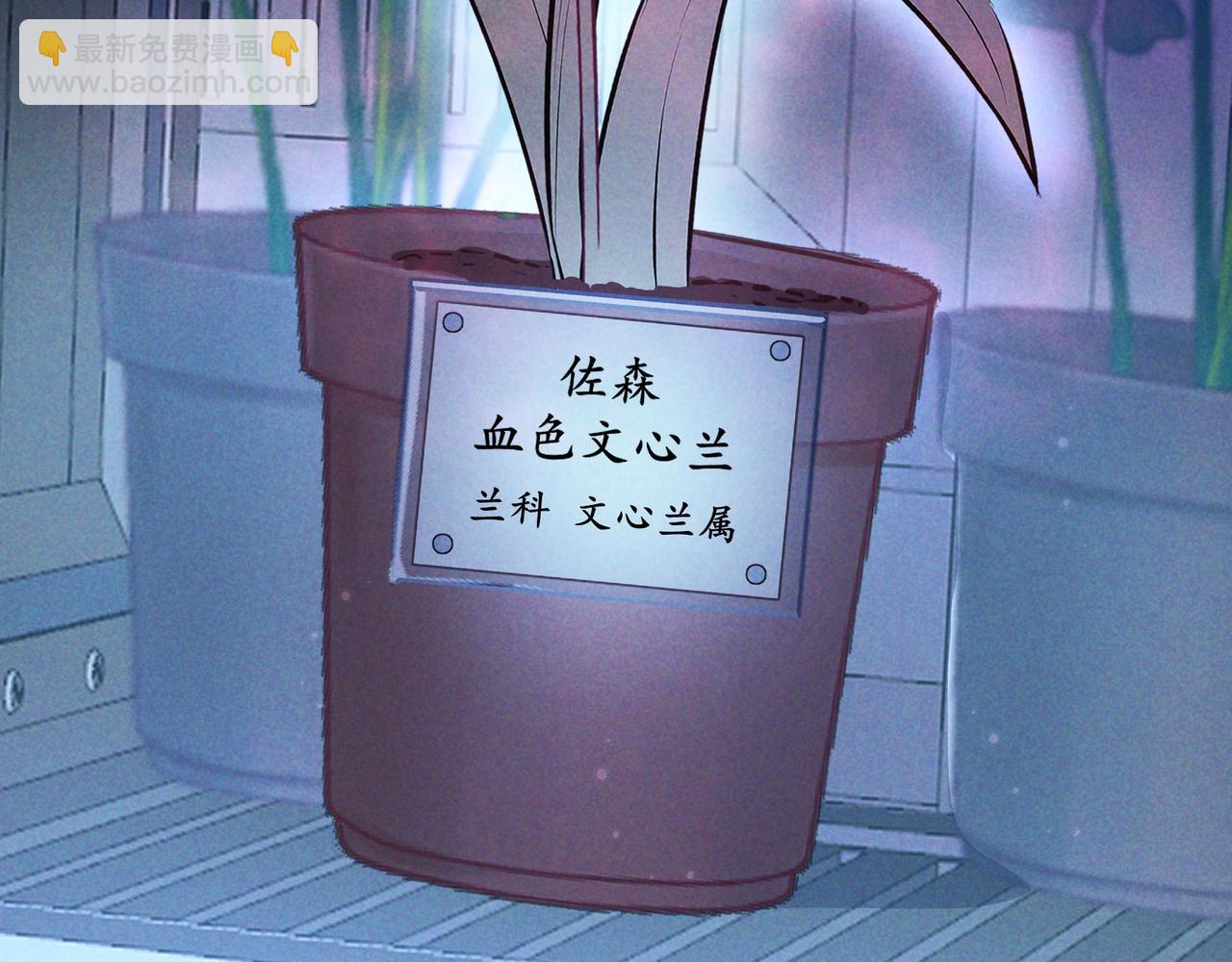 第54话 血色文心兰(1/3)-第65话