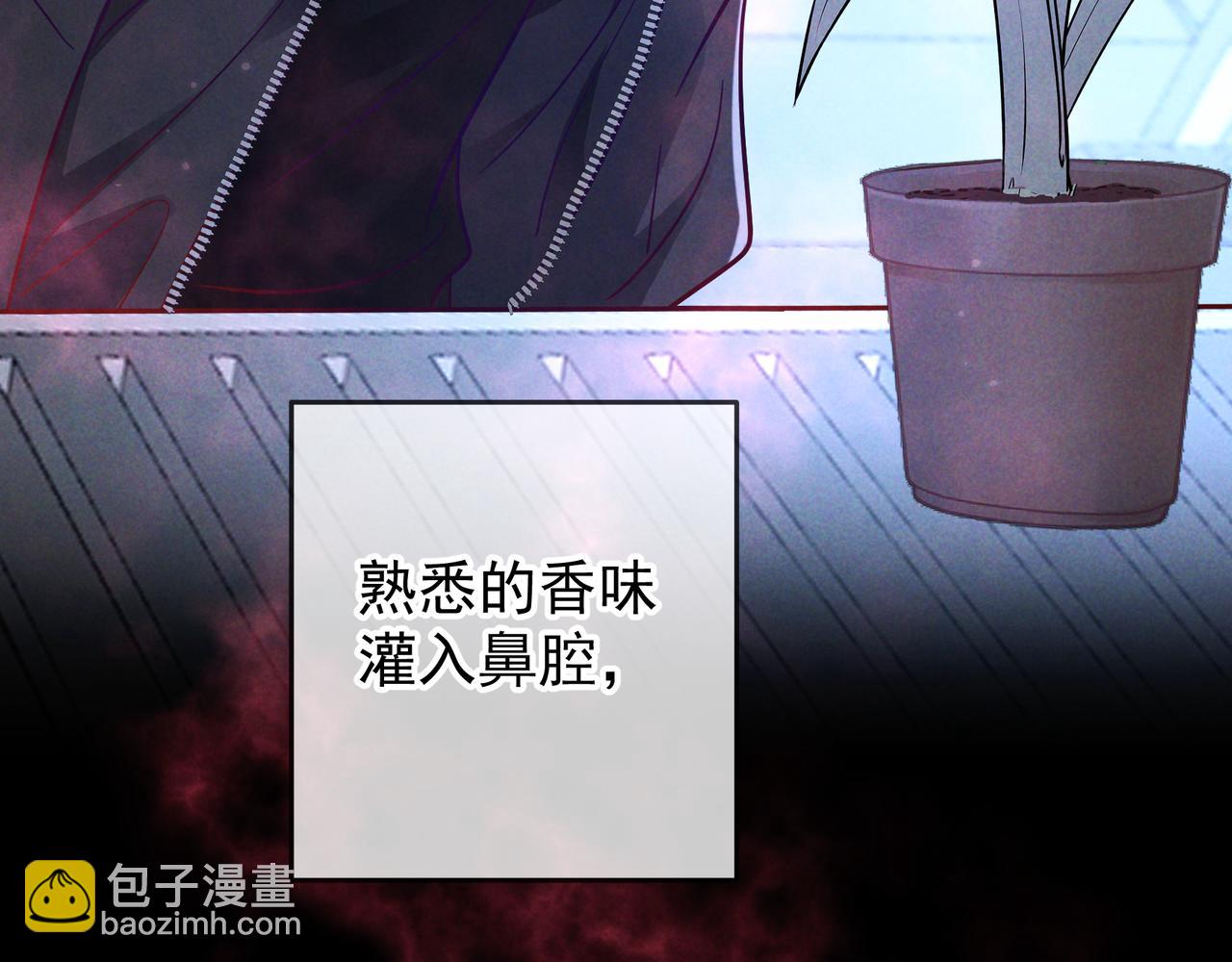 第54话 血色文心兰(1/3)-第65话