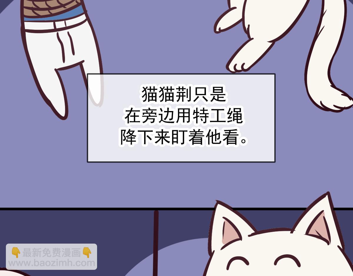 Q版小剧场 猫猫特工队！-第95话