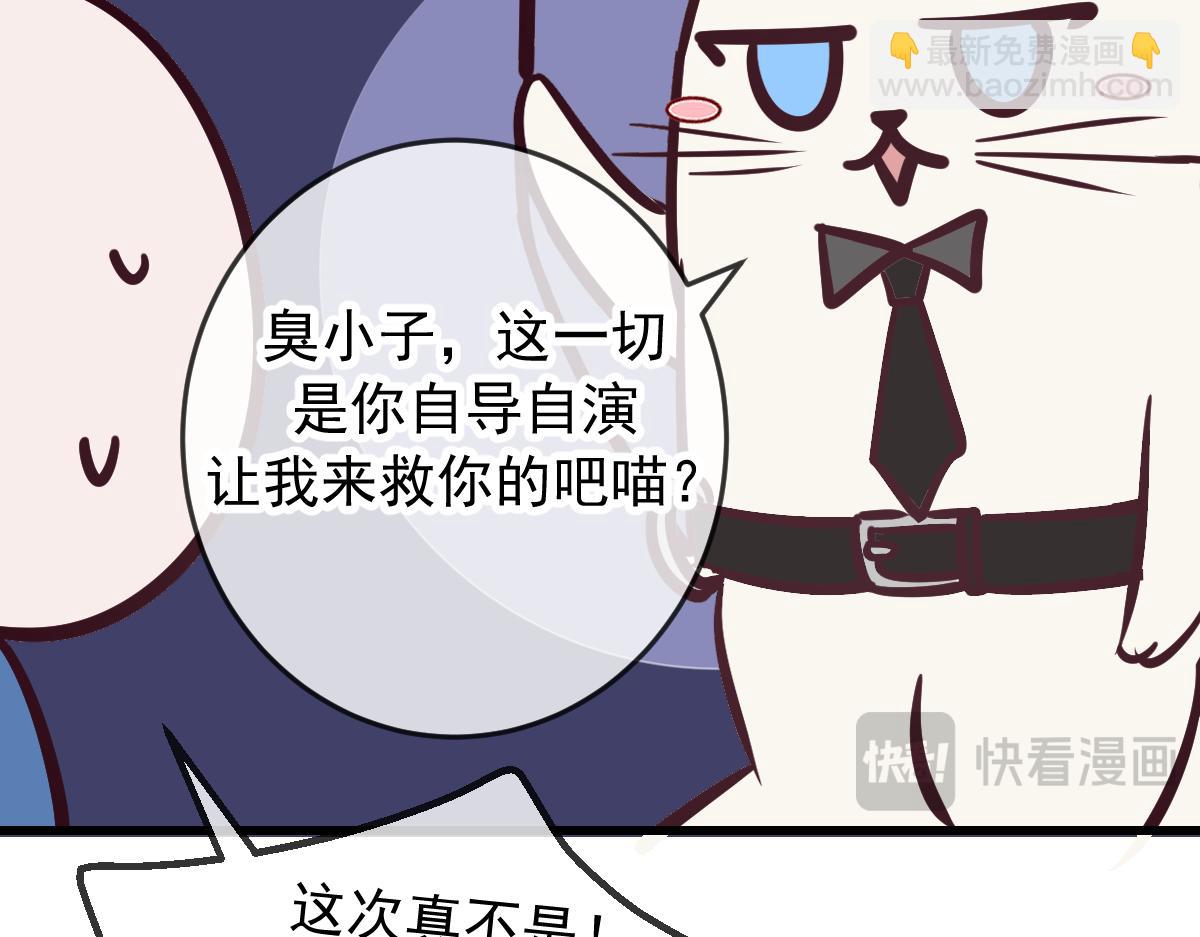 Q版小剧场 猫猫特工队！-第95话