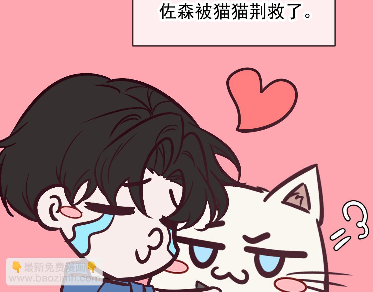 Q版小剧场 猫猫特工队！-第95话