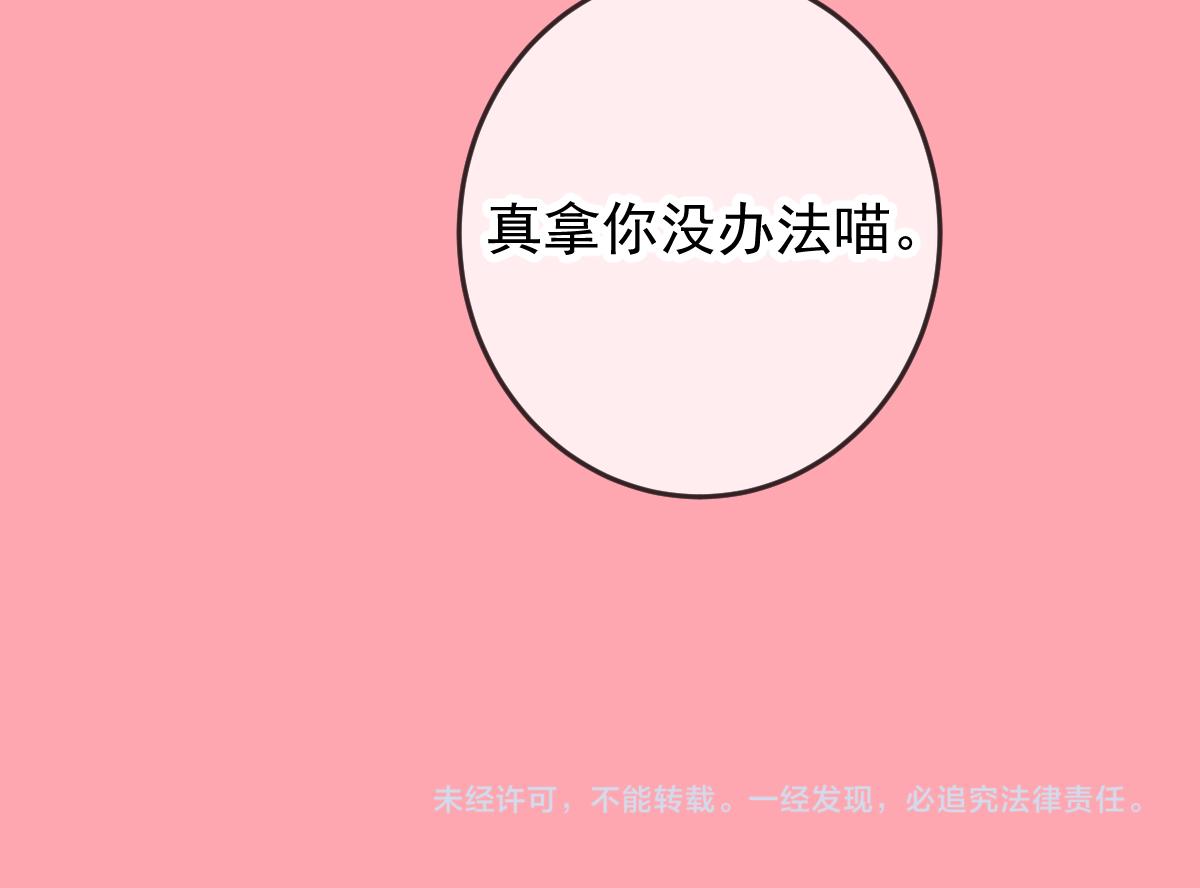 Q版小剧场 猫猫特工队！-第95话