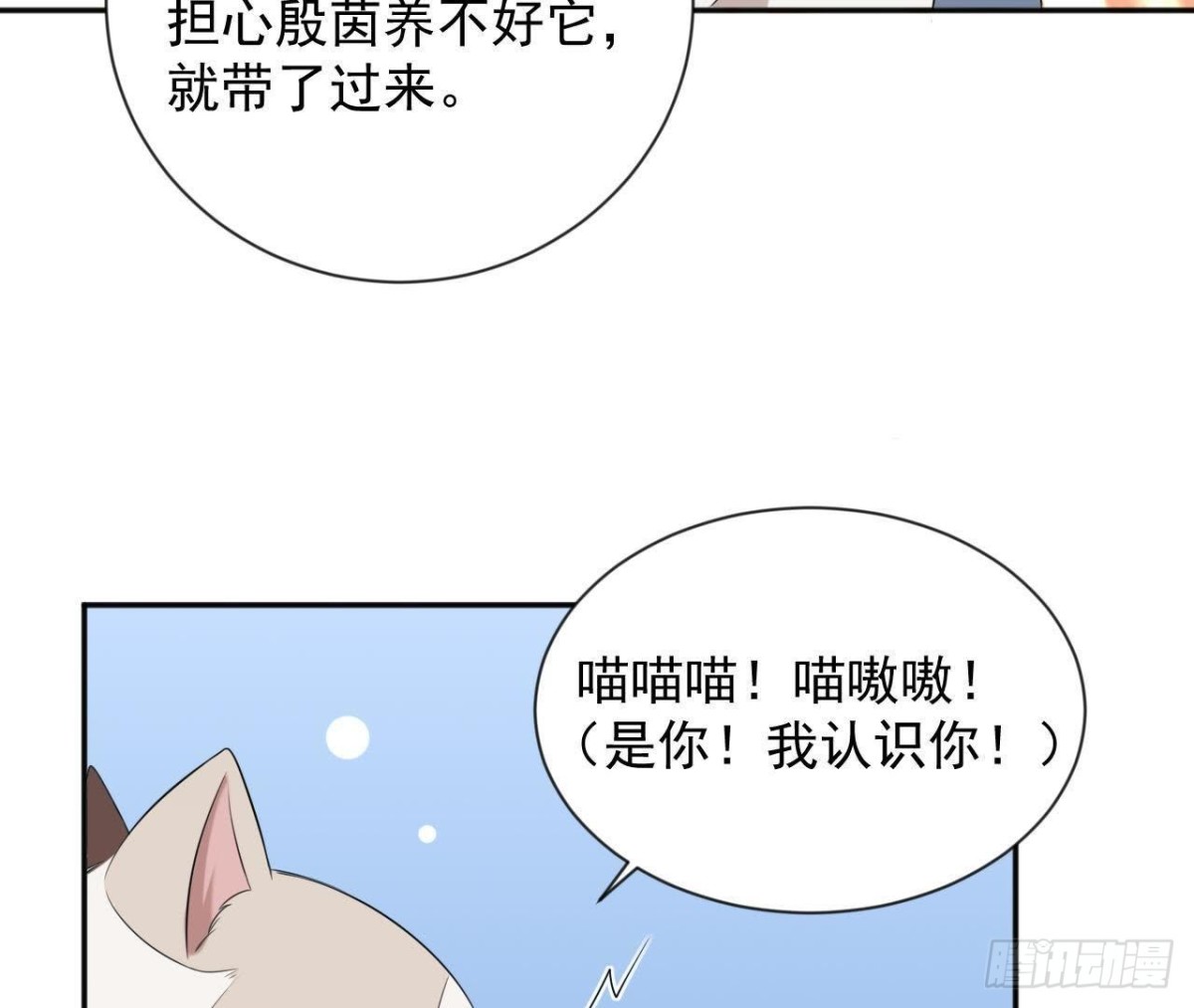 第166话 还有一个！？(1/2)-第165话