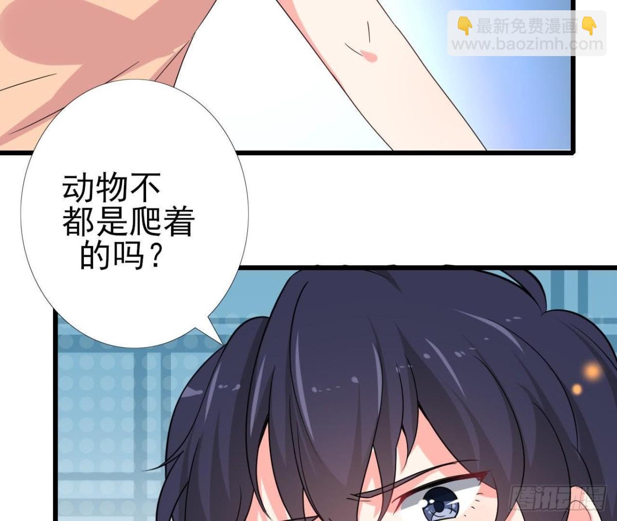 看！灰机！(1/2)-第83话