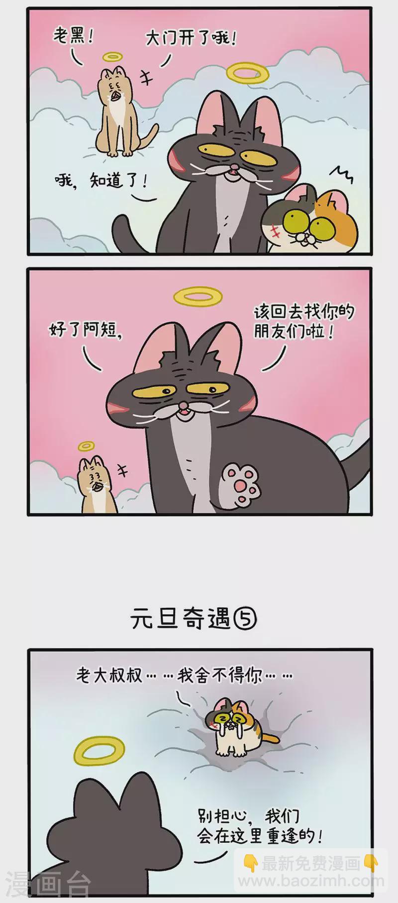 番外13下 元旦奇遇-第107话