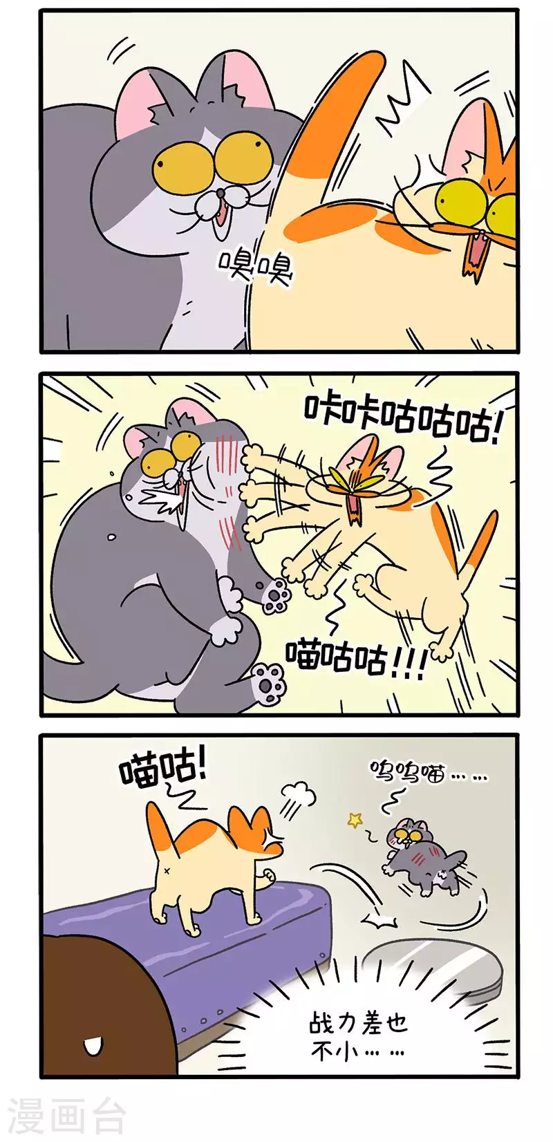 第65话2 公司的猫咪聚会-第117话