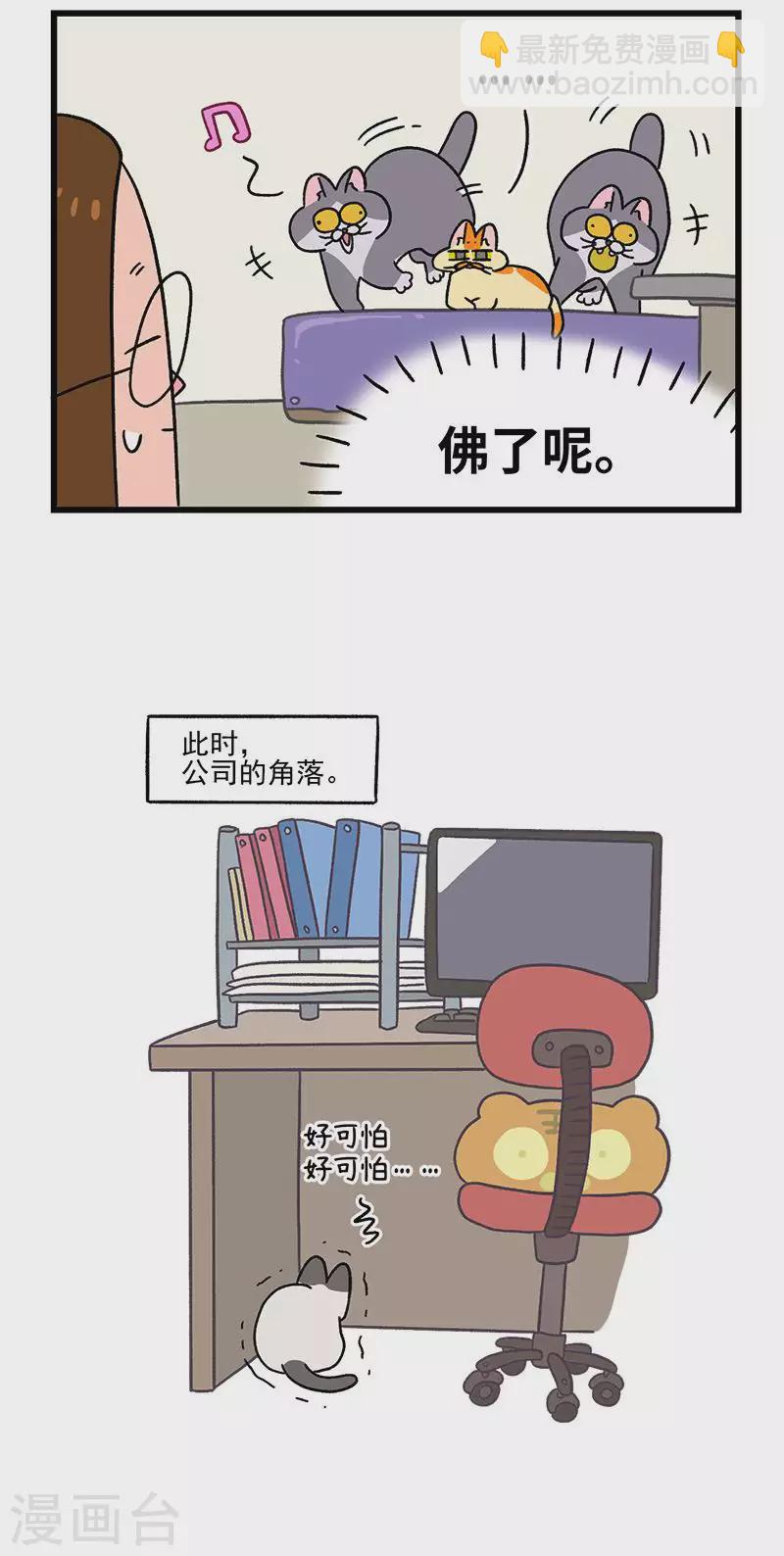 第65话2 公司的猫咪聚会-第117话