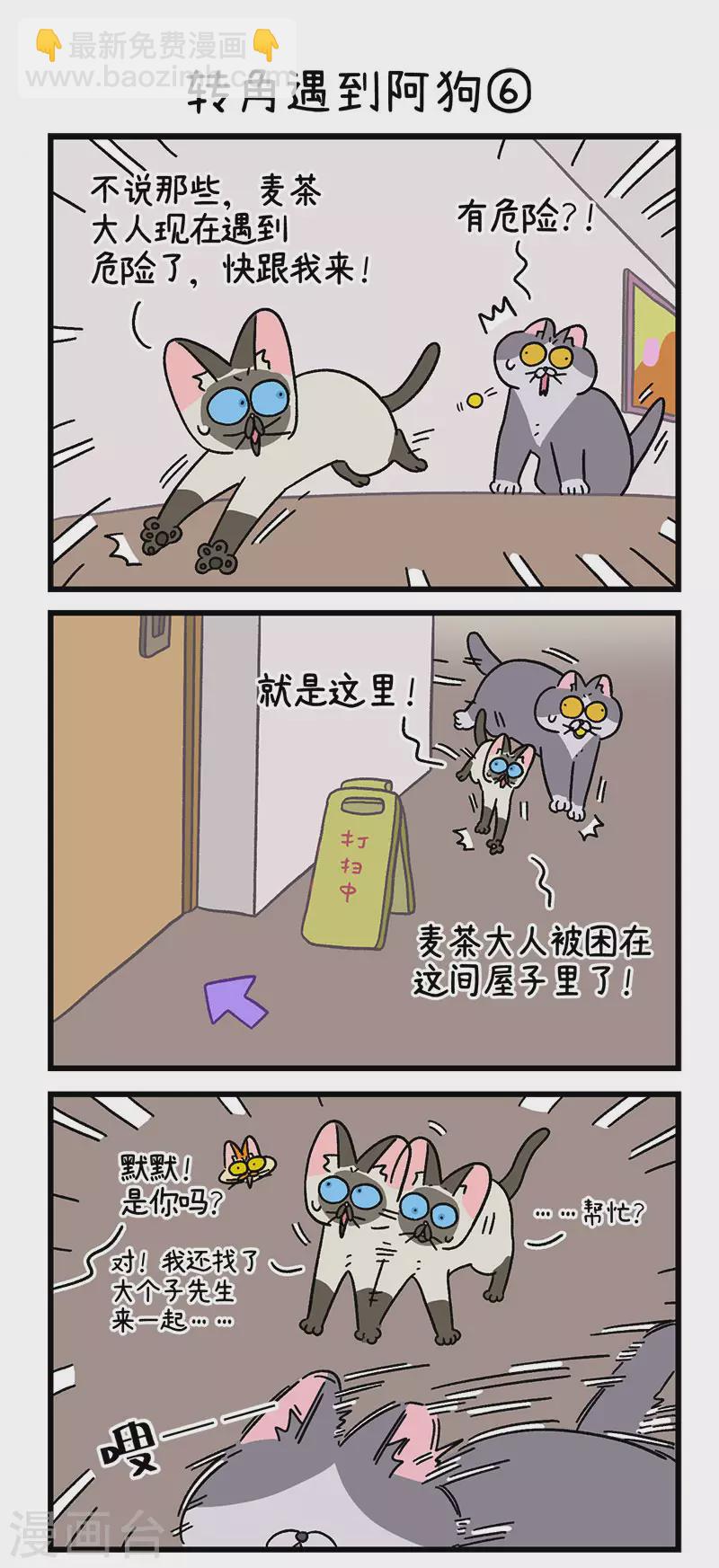 第71话2 转角遇到阿狗-第131话