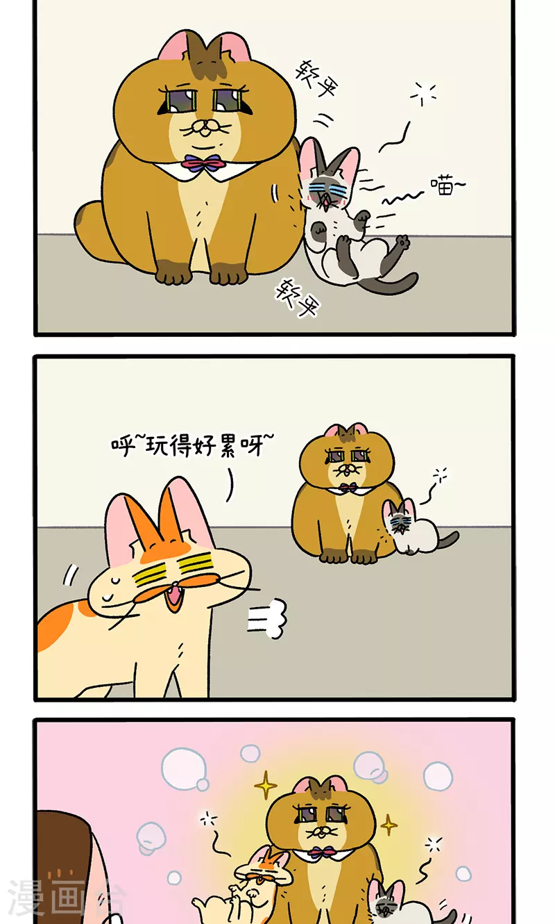 第82话2 猫咪再聚会-第149话