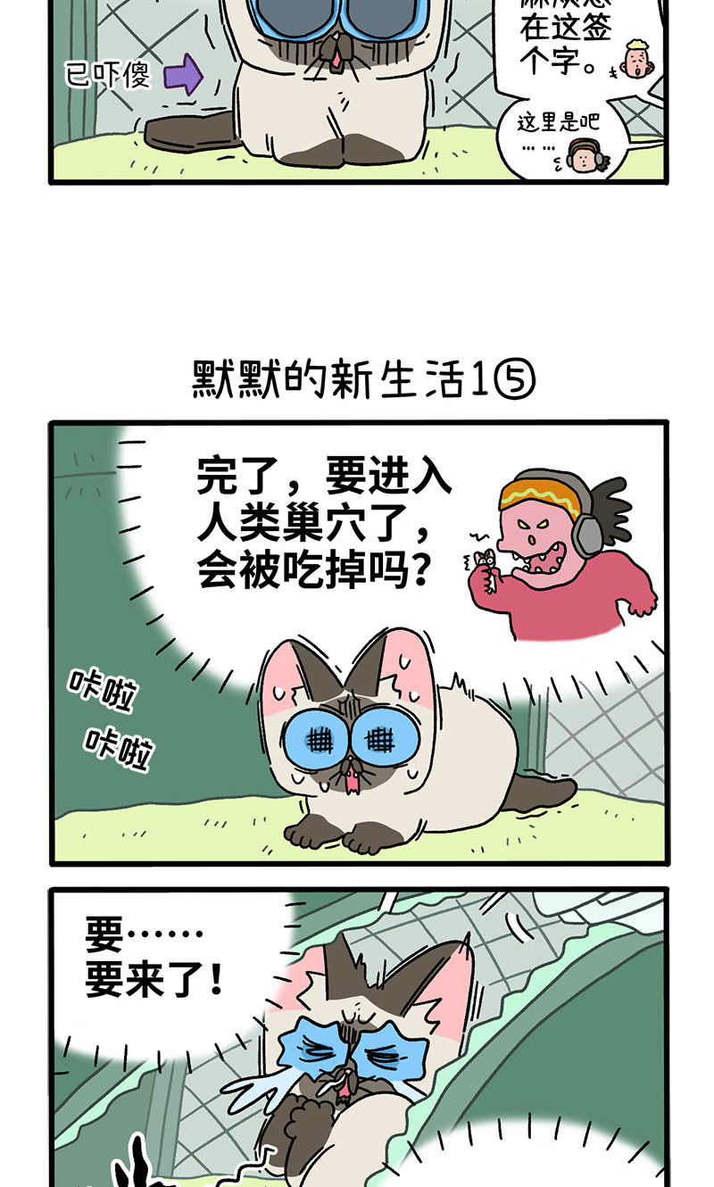 番外15下 默默的新生活1-第151话