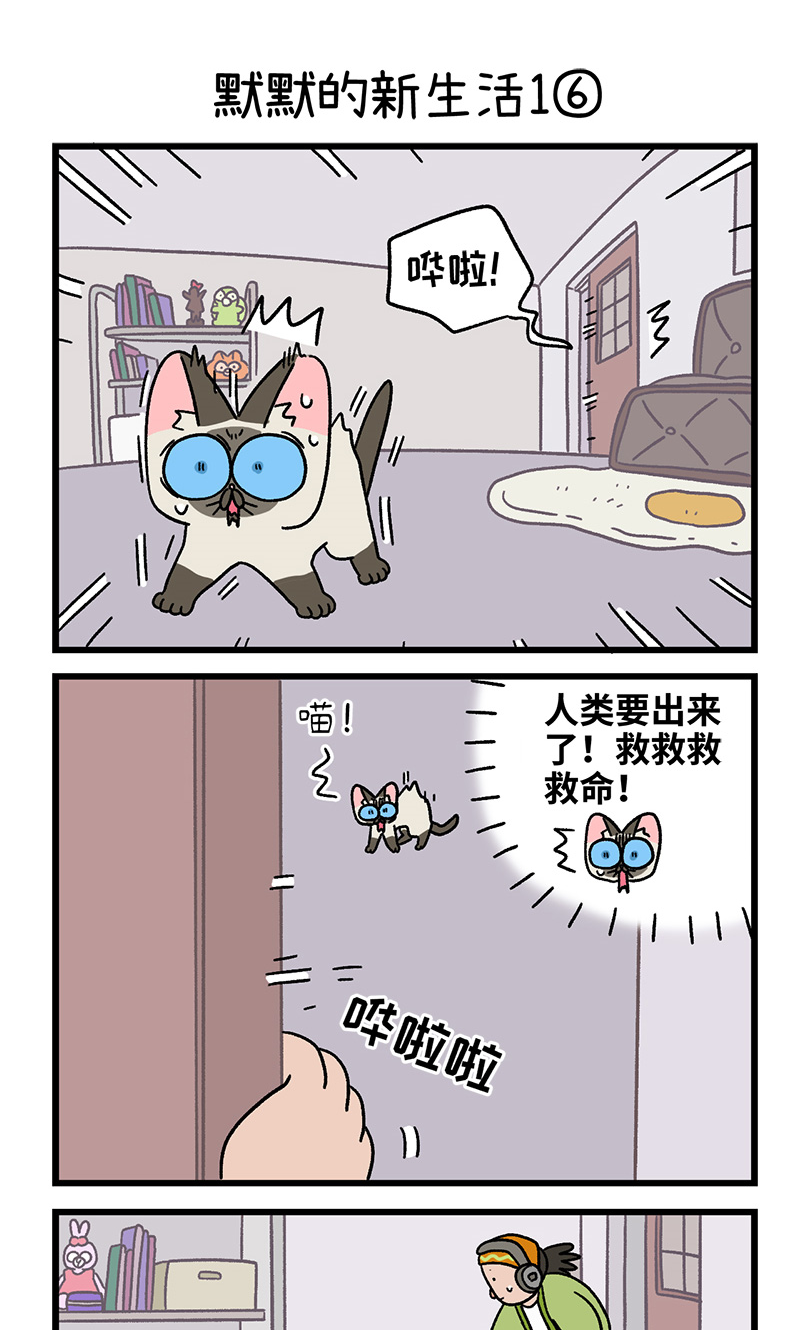 番外15下 默默的新生活1-第151话