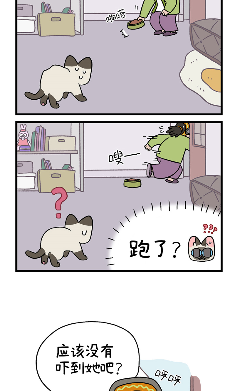 番外15下 默默的新生活1-第151话
