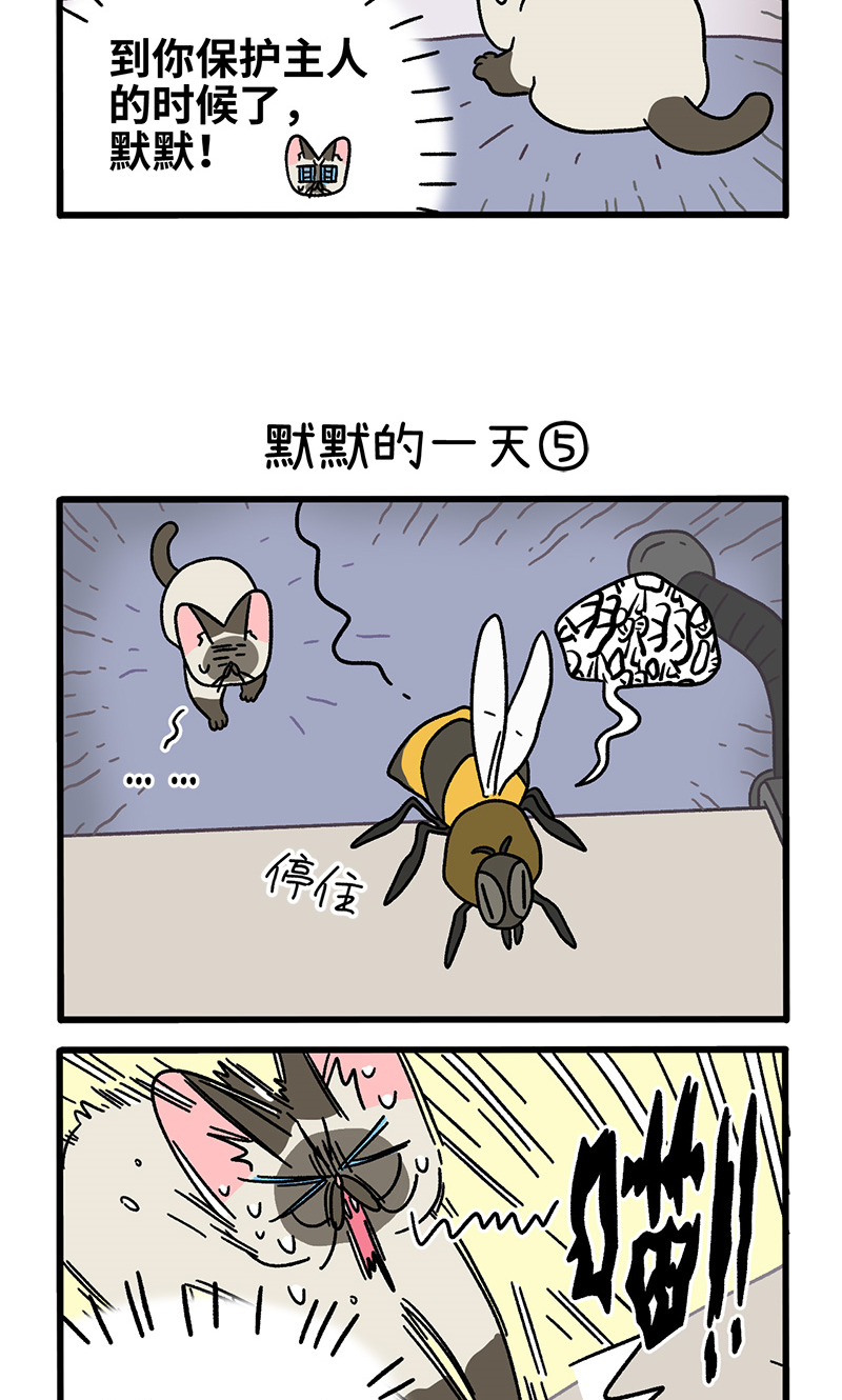 番外17下 默默的一天1-第155话