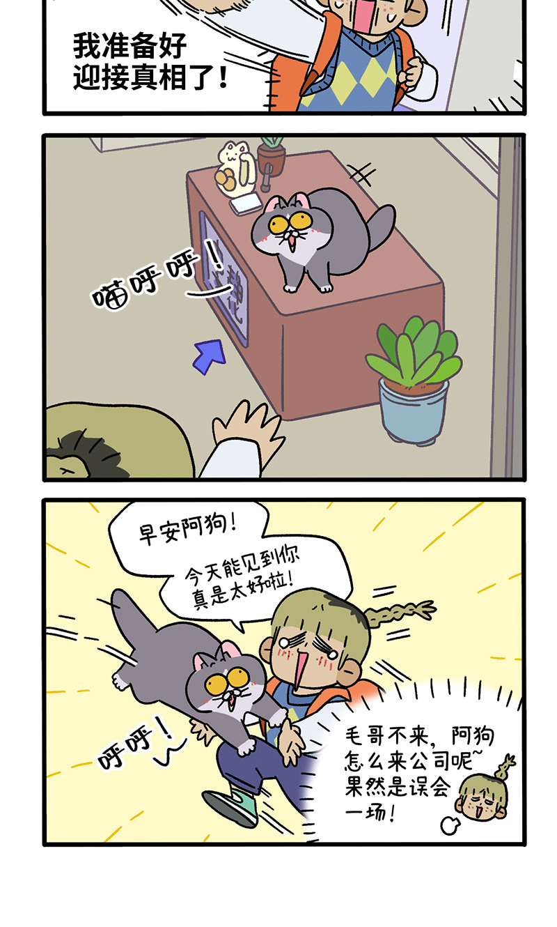 第86话 猫晶晶疑云4-第161话