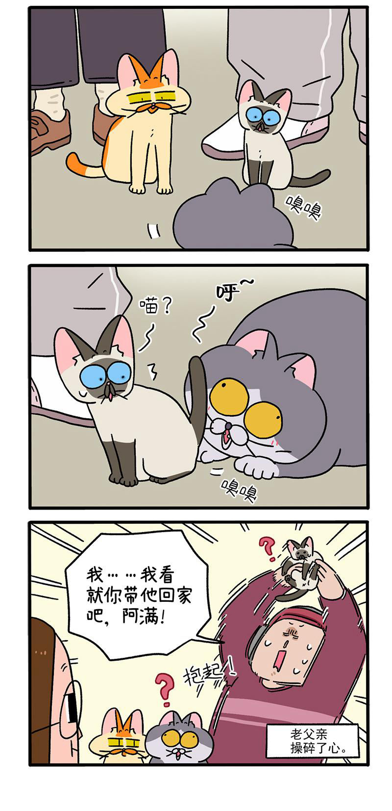 第88话2 阿狗的监护权-第165话