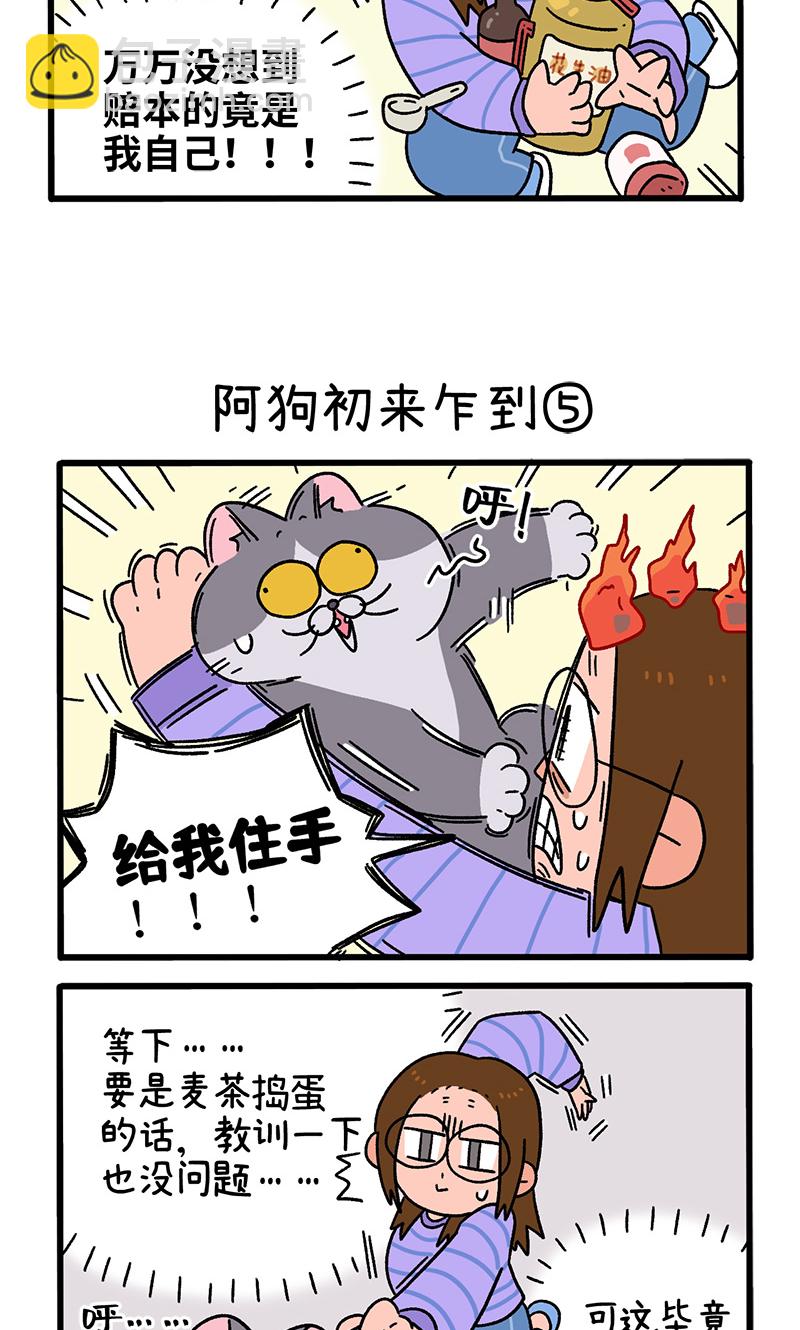 第89话2 阿狗初来乍到-第167话