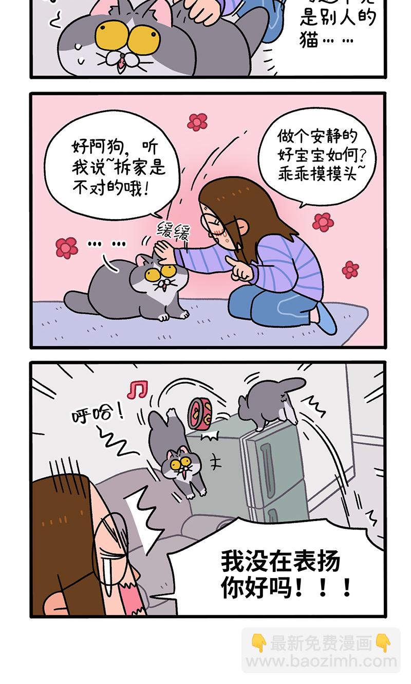 第89话2 阿狗初来乍到-第167话