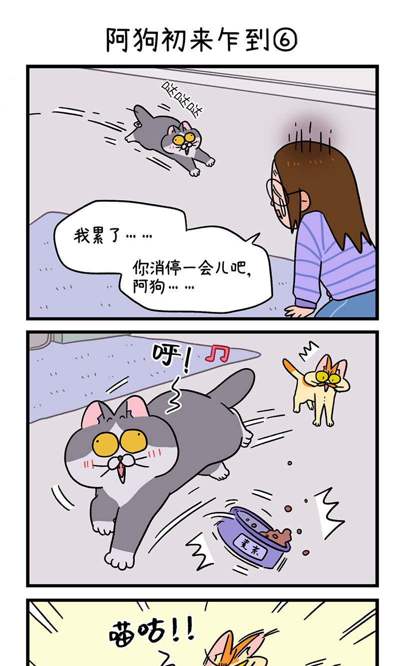 第89话2 阿狗初来乍到-第167话