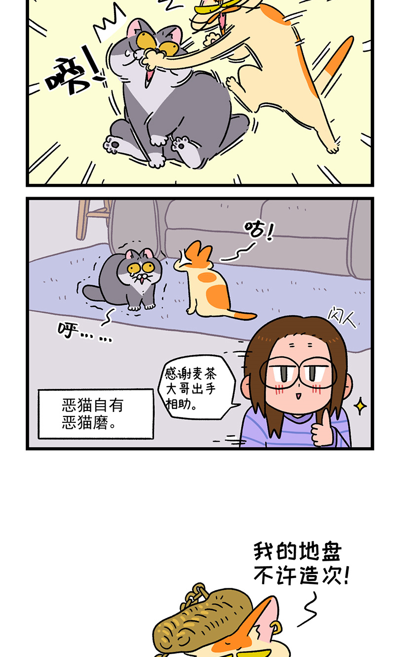 第89话2 阿狗初来乍到-第167话