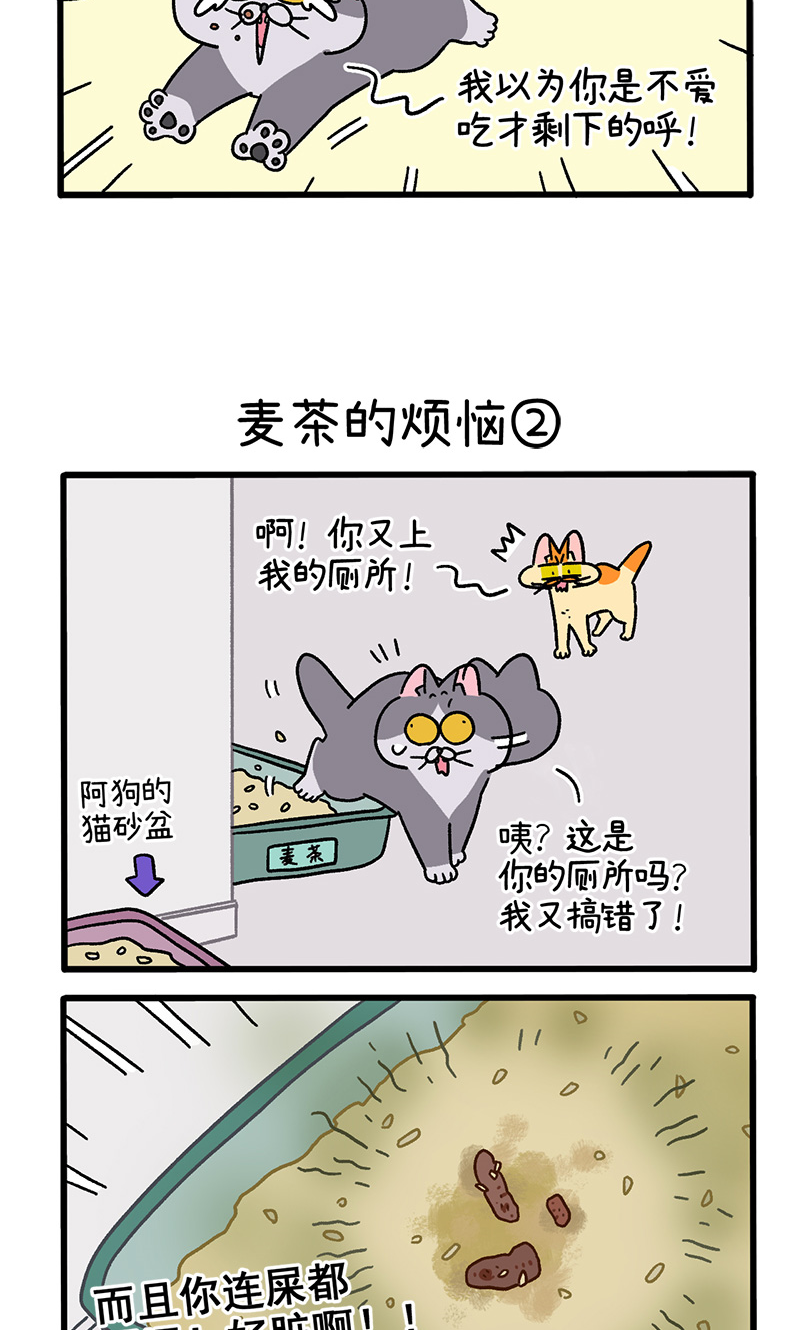 第91话 麦茶的烦恼-第169话