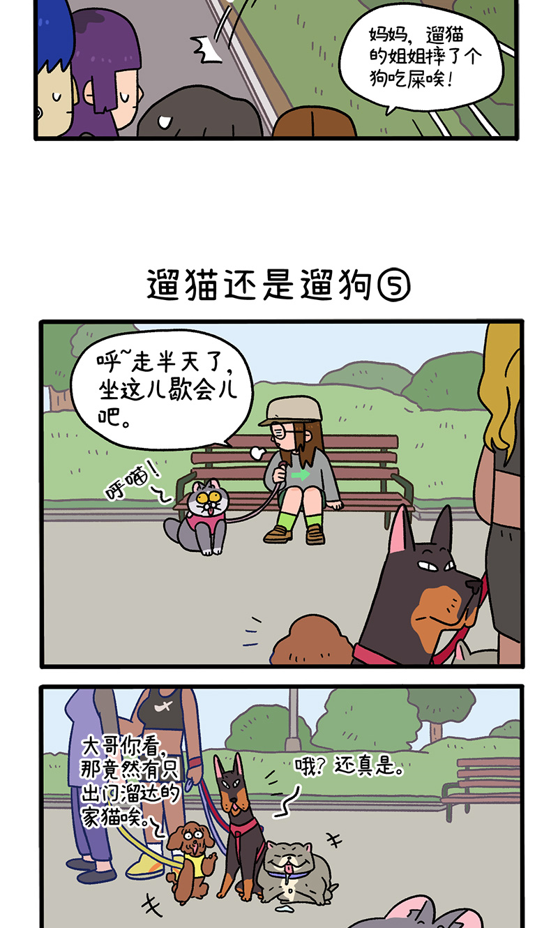 第95话2 遛猫还是遛狗-第177话