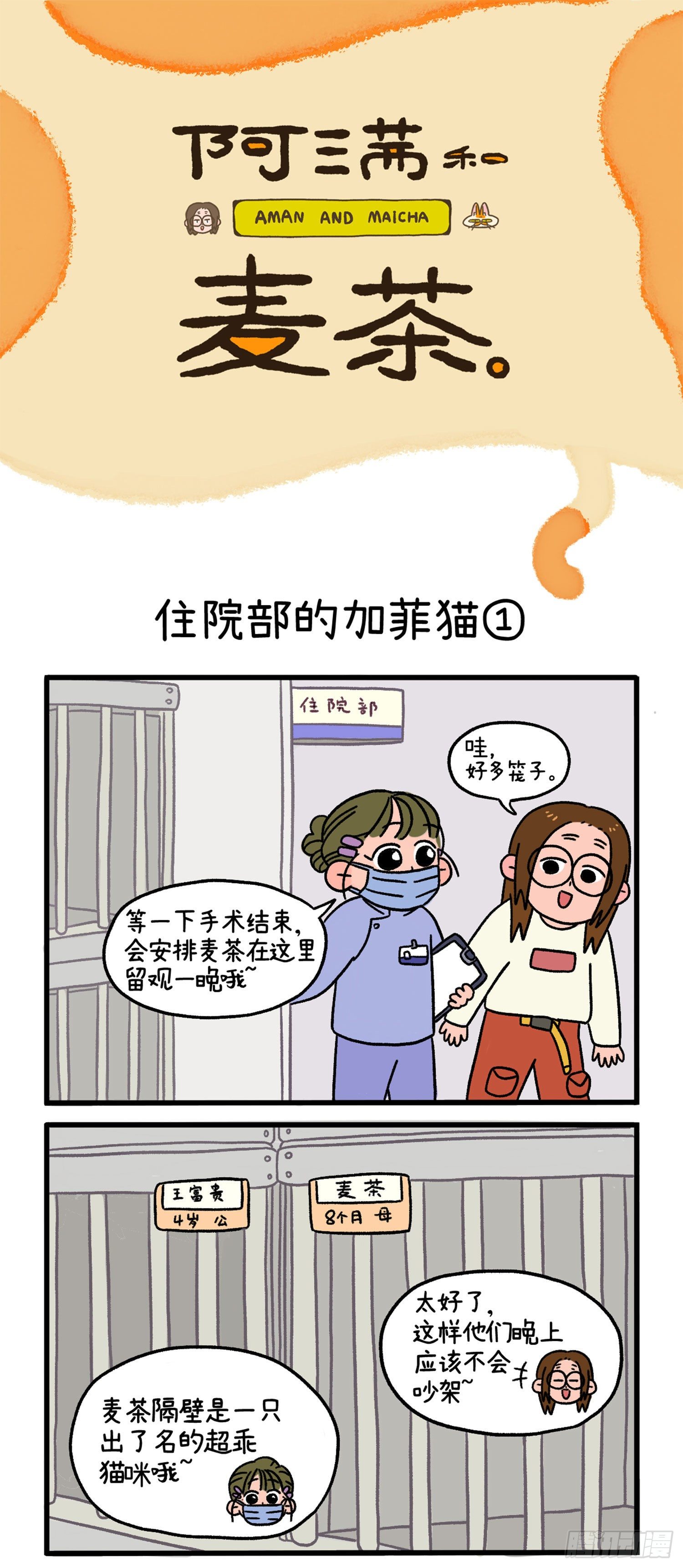 第14话 住院部的加菲猫-第19话