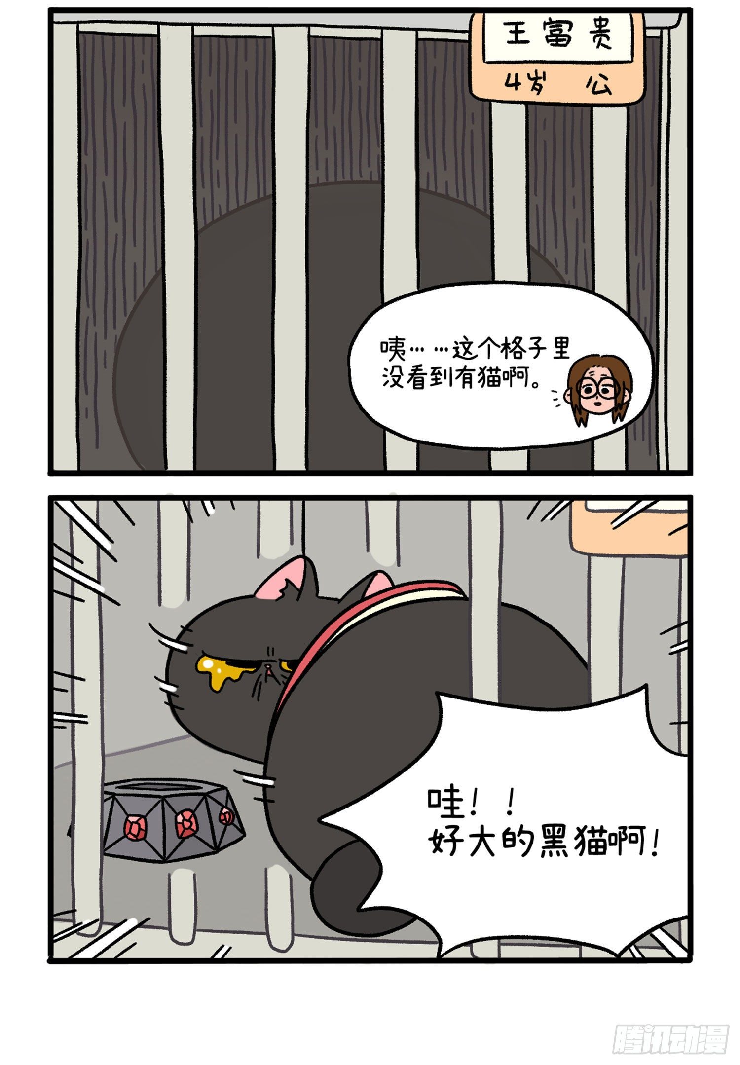 第14话 住院部的加菲猫-第19话