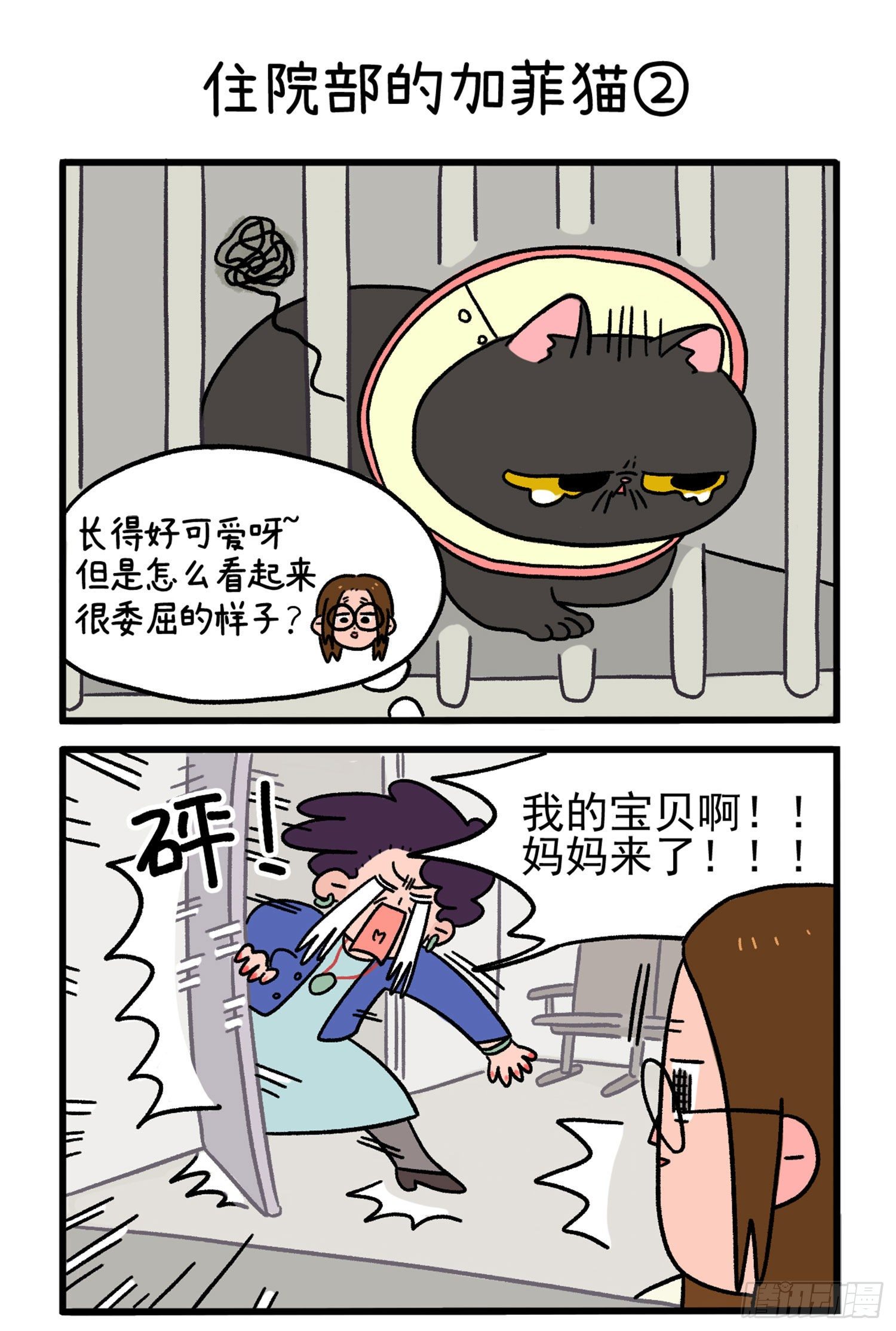 第14话 住院部的加菲猫-第19话
