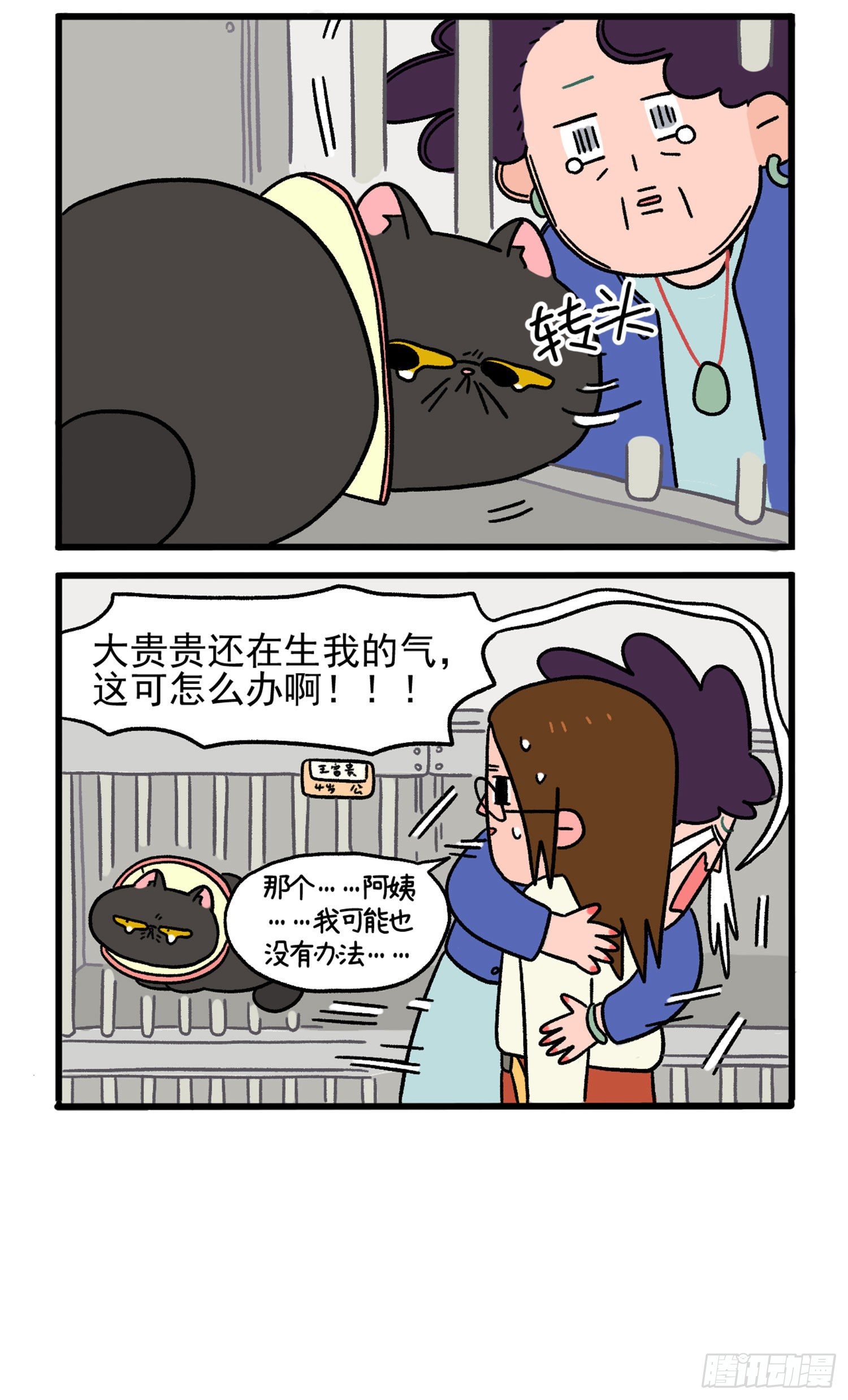 第14话 住院部的加菲猫-第19话