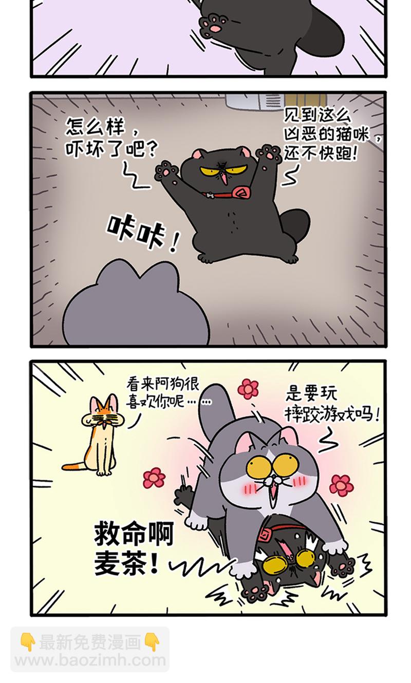 第98话2 当糙汉来敲门-第183话
