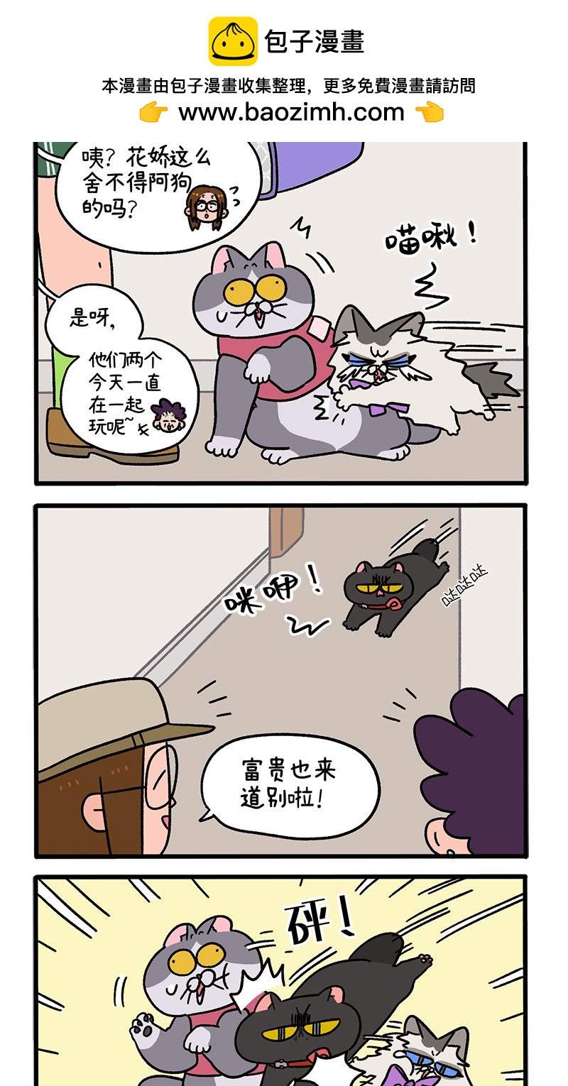 第101话2 哥哥不同意-第189话