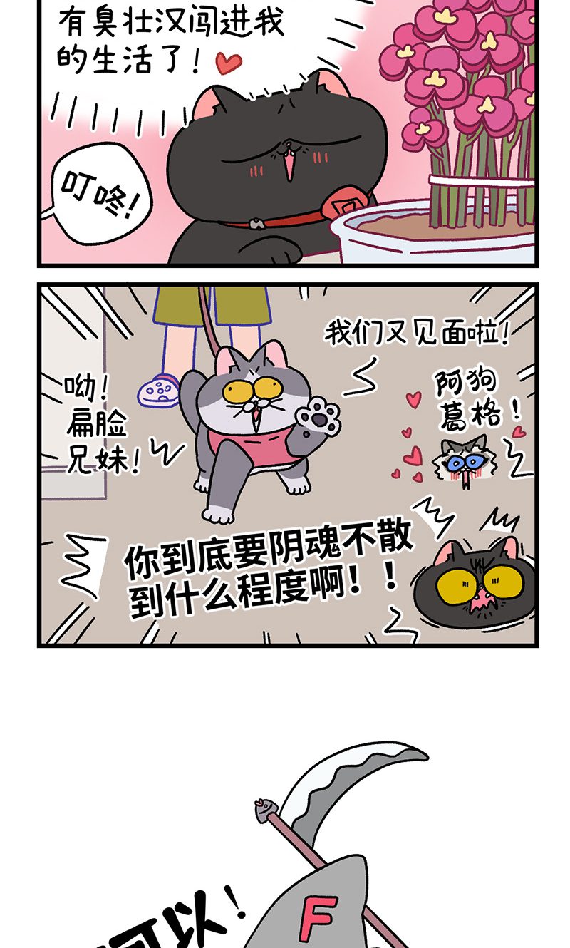 第101话2 哥哥不同意-第189话