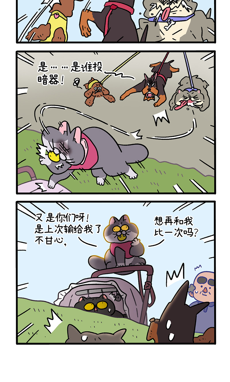 第103话2 球球之魂-第193话