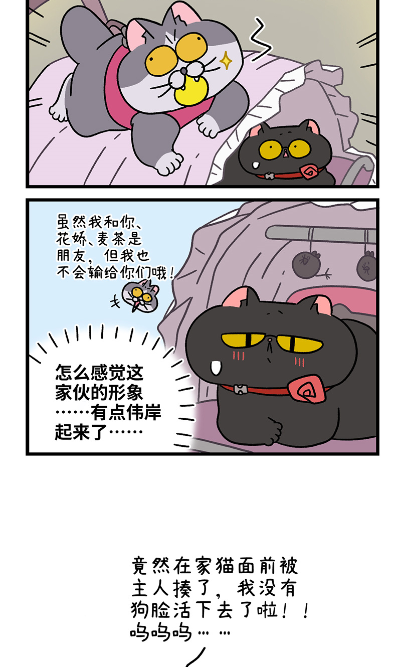 第103话2 球球之魂-第193话