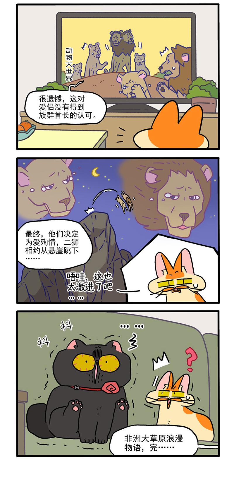 第104话2 哥哥的让步-第195话