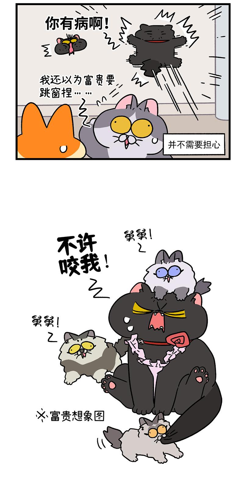 第104话2 哥哥的让步-第195话