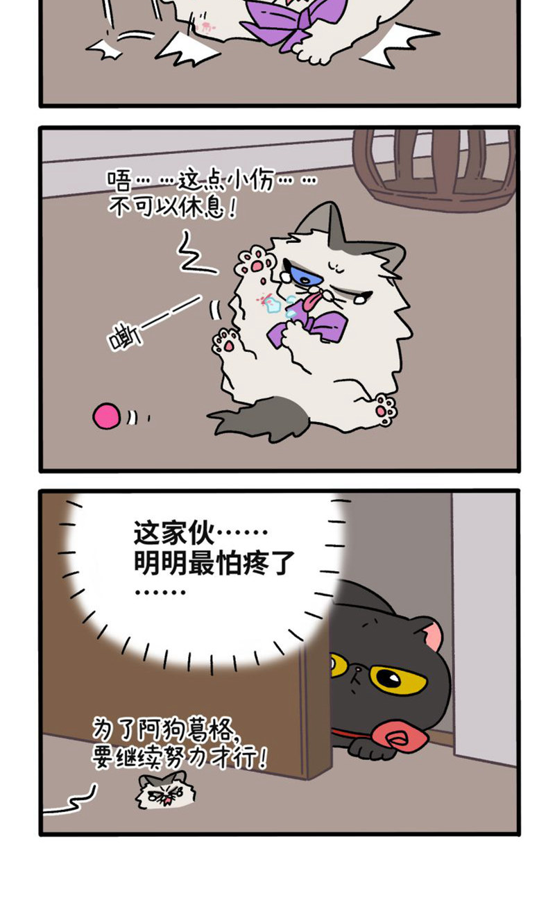 第105话2 妹妹的幸福-第197话