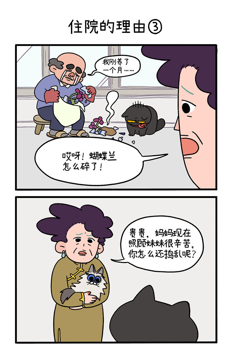 第16话1 住院的理由-第21话