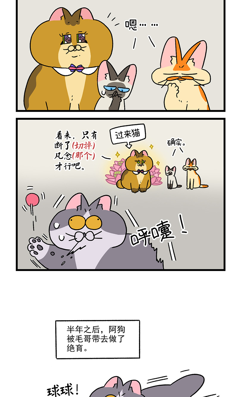 第110话2 公司茶话会-第207话