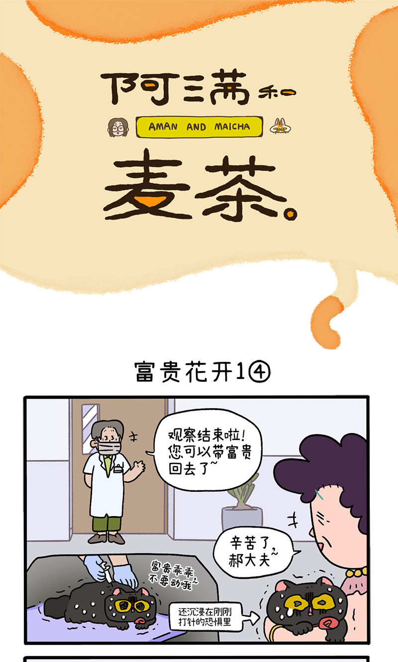 番外21下 富贵花开1-第211话