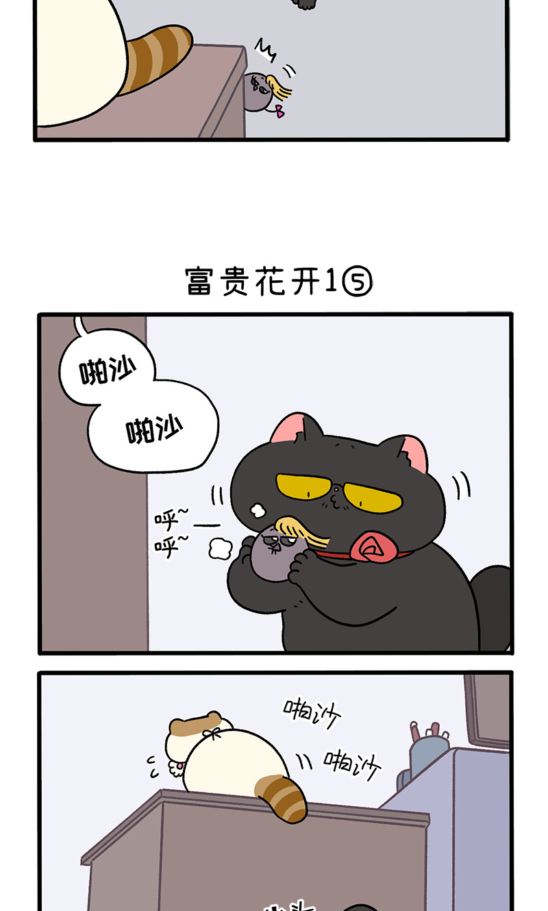 番外21下 富贵花开1-第211话