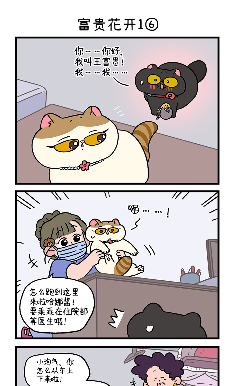 番外21下 富贵花开1-第211话