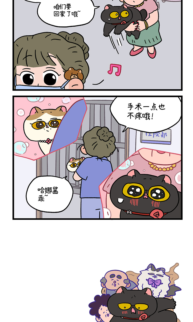 番外21下 富贵花开1-第211话
