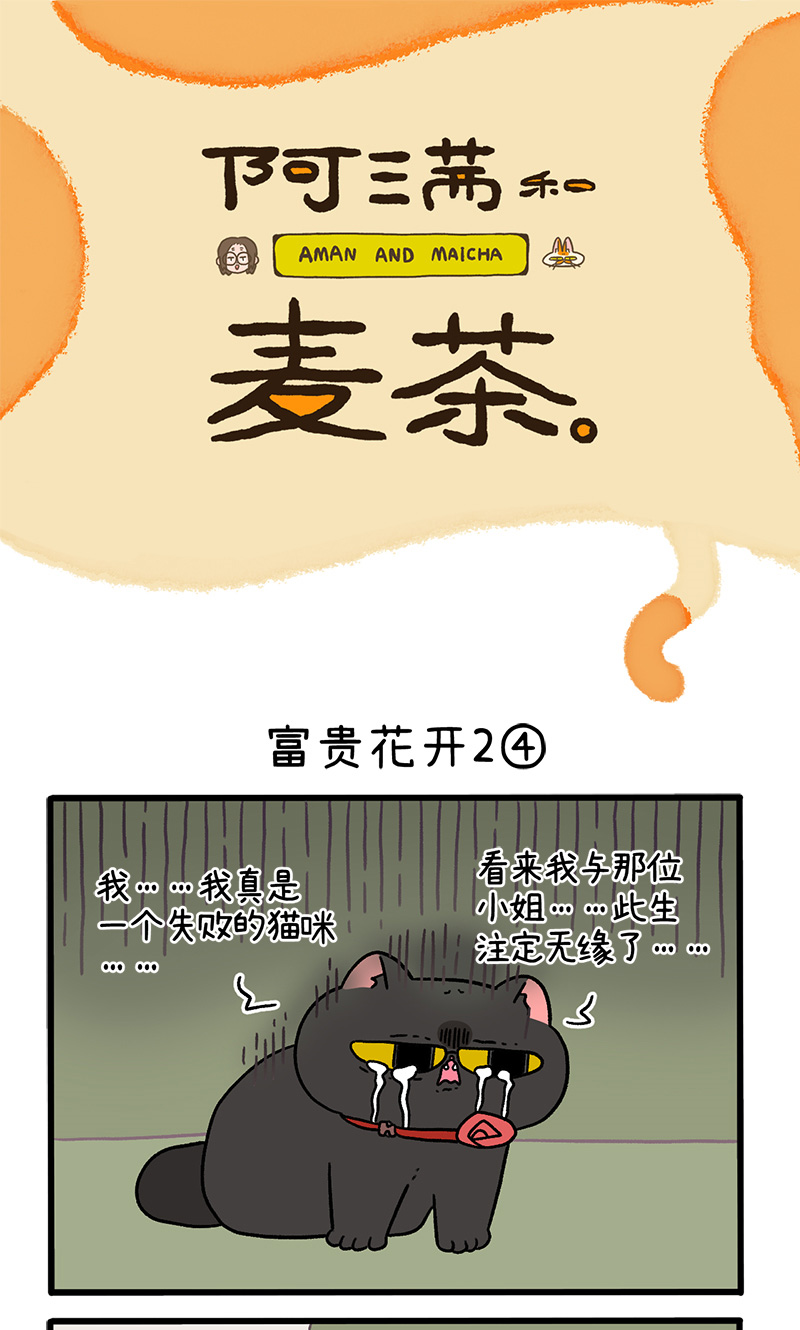 番外22下 富贵花开2-第213话