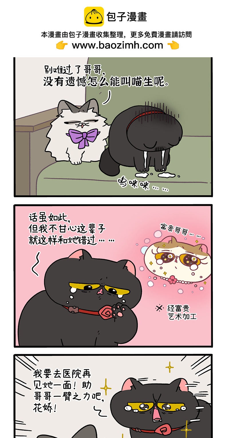 番外22下 富贵花开2-第213话