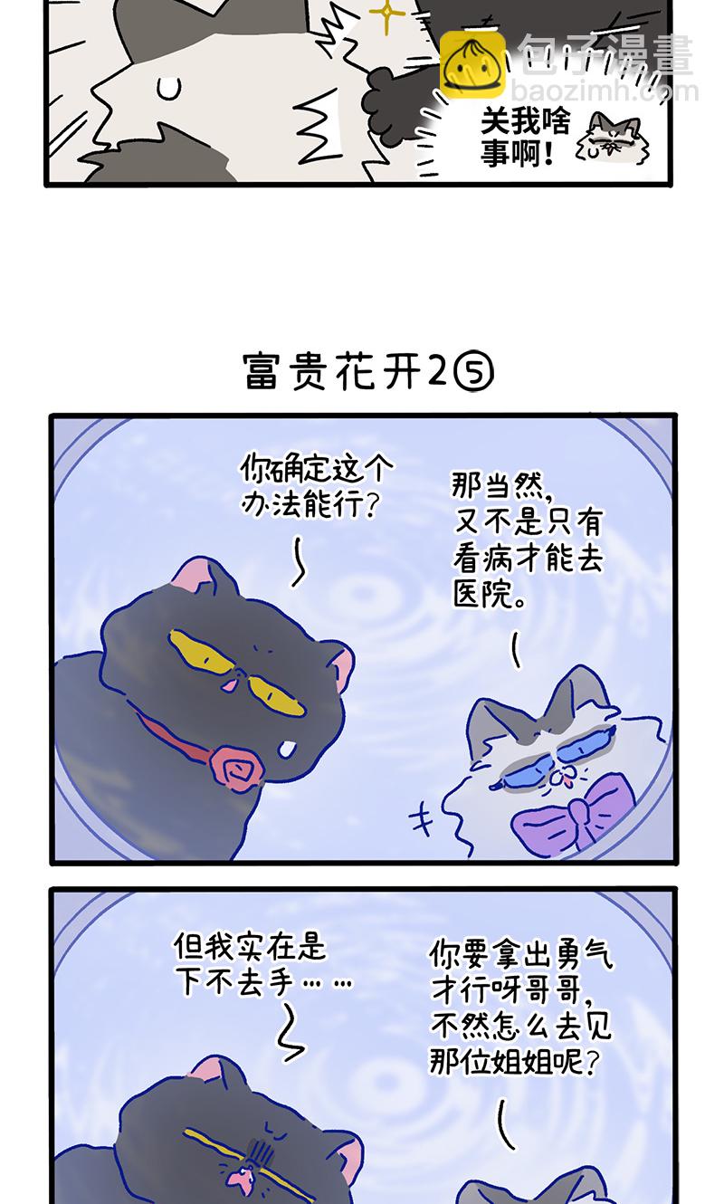 番外22下 富贵花开2-第213话