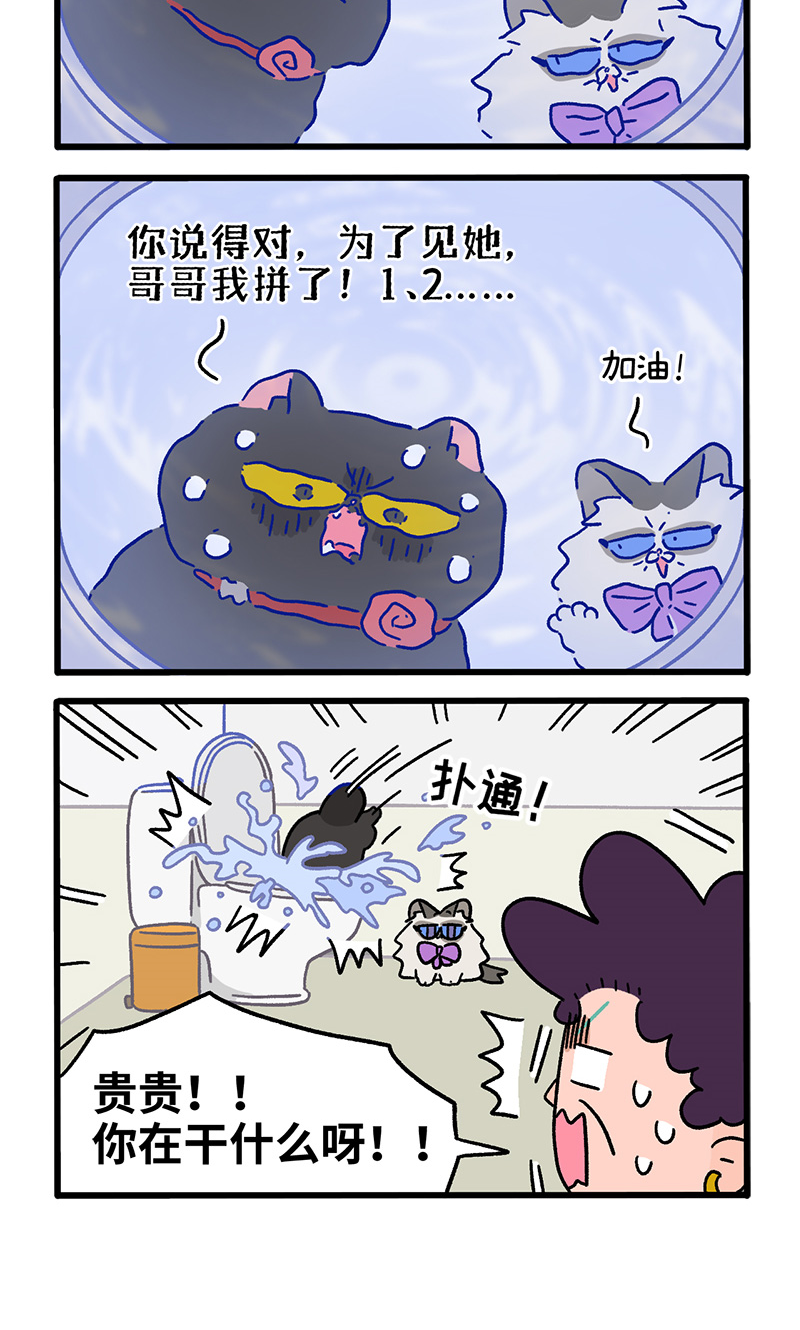 番外22下 富贵花开2-第213话