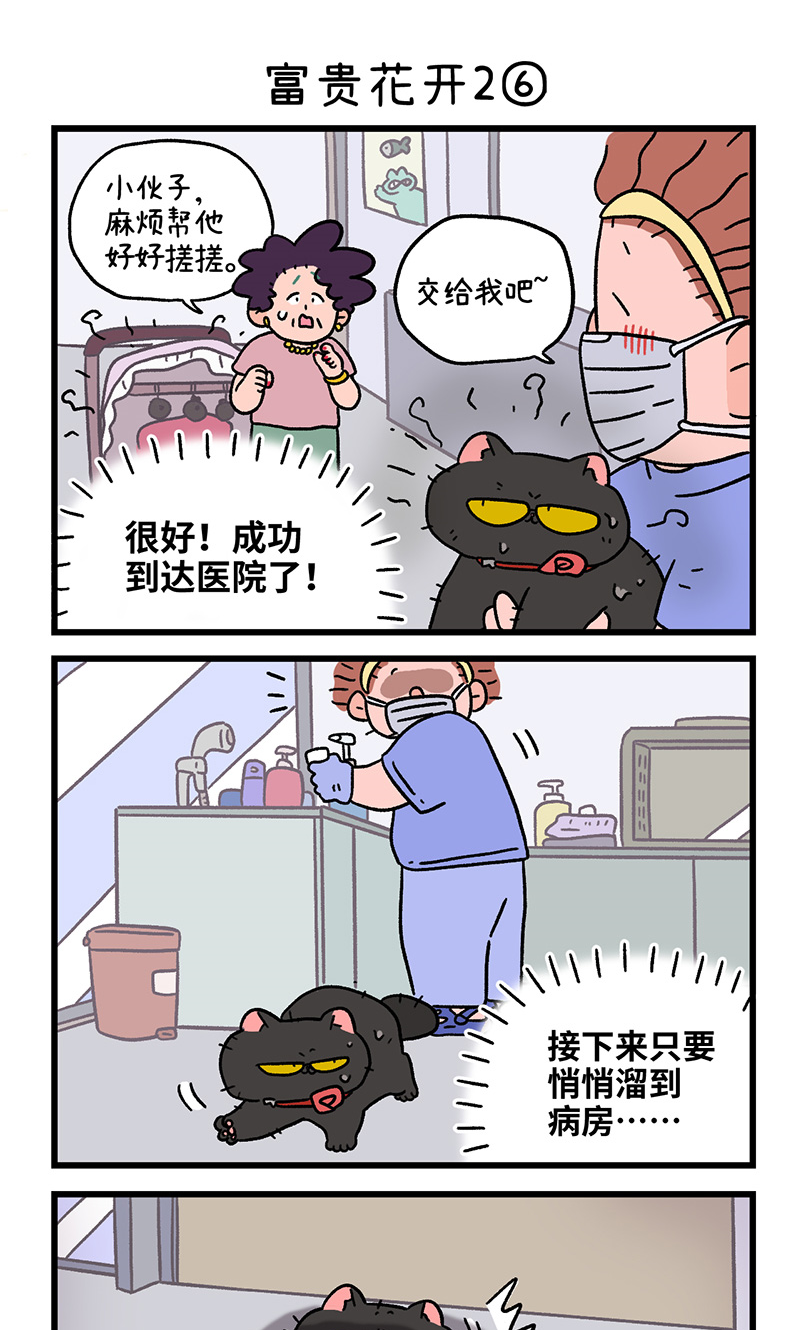 番外22下 富贵花开2-第213话