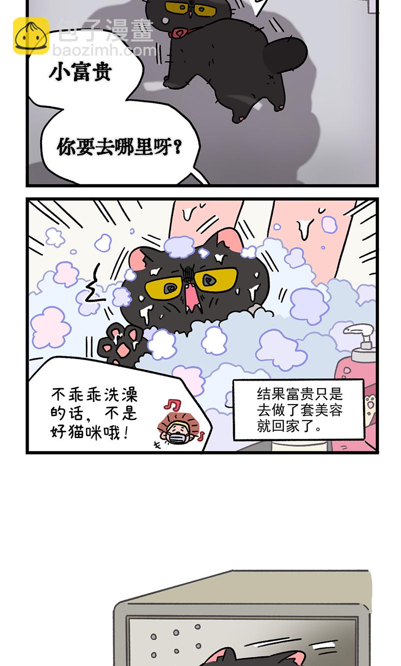 番外22下 富贵花开2-第213话